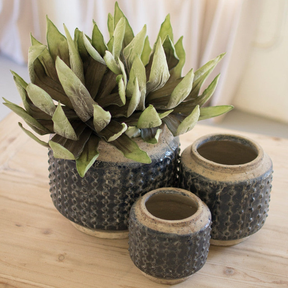 Knobby blue glazed ceramic planters set of 3 with succulents