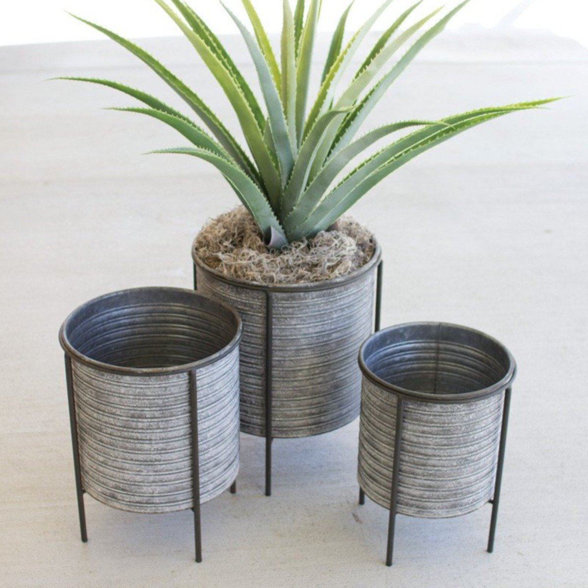 galvanized pots for plants Metal Can Planters (Set-3)