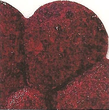 Monogrammed Palace Wall Grill-Iron Accents