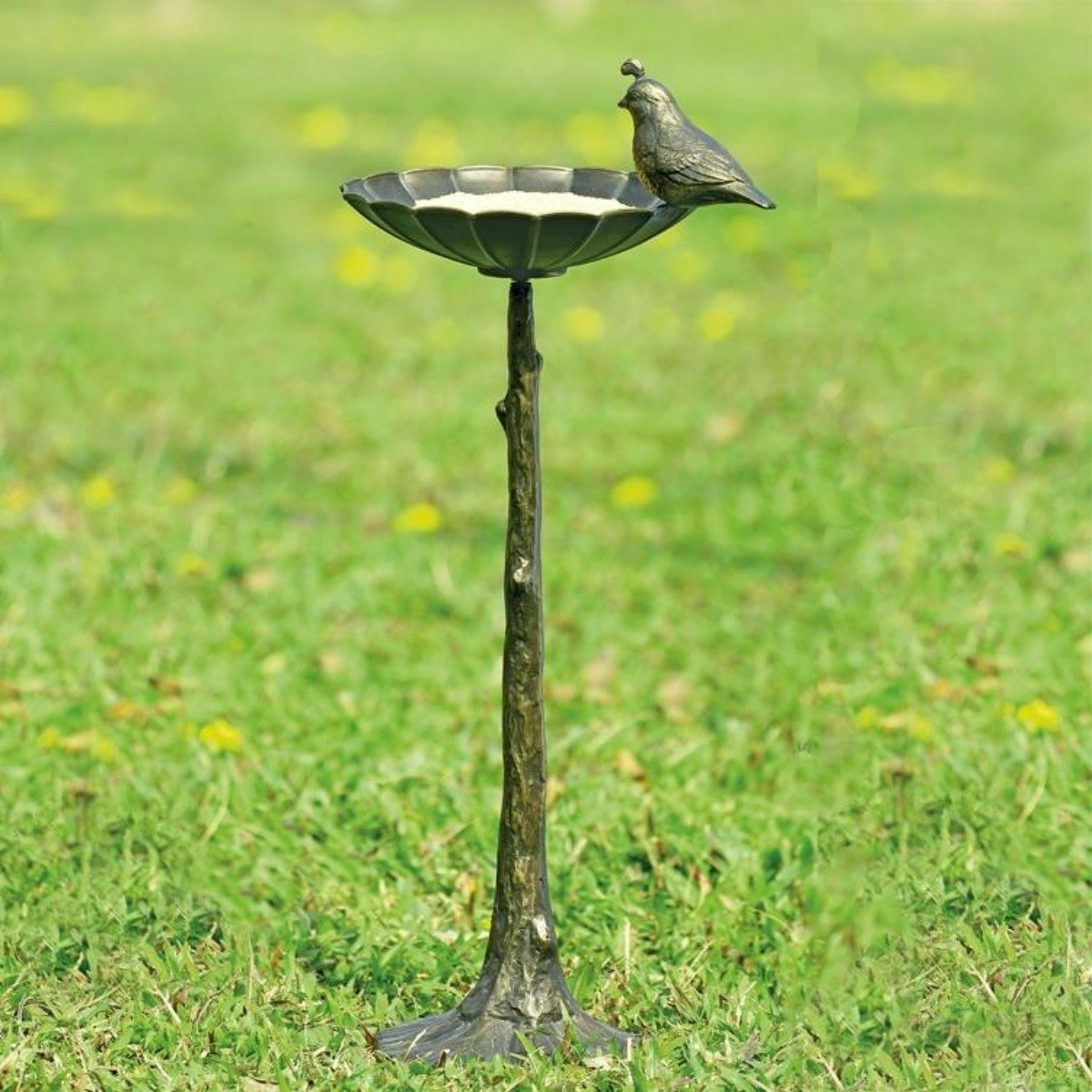 Quail Birdbath / Birdfeeder-Garden | Iron Accents
