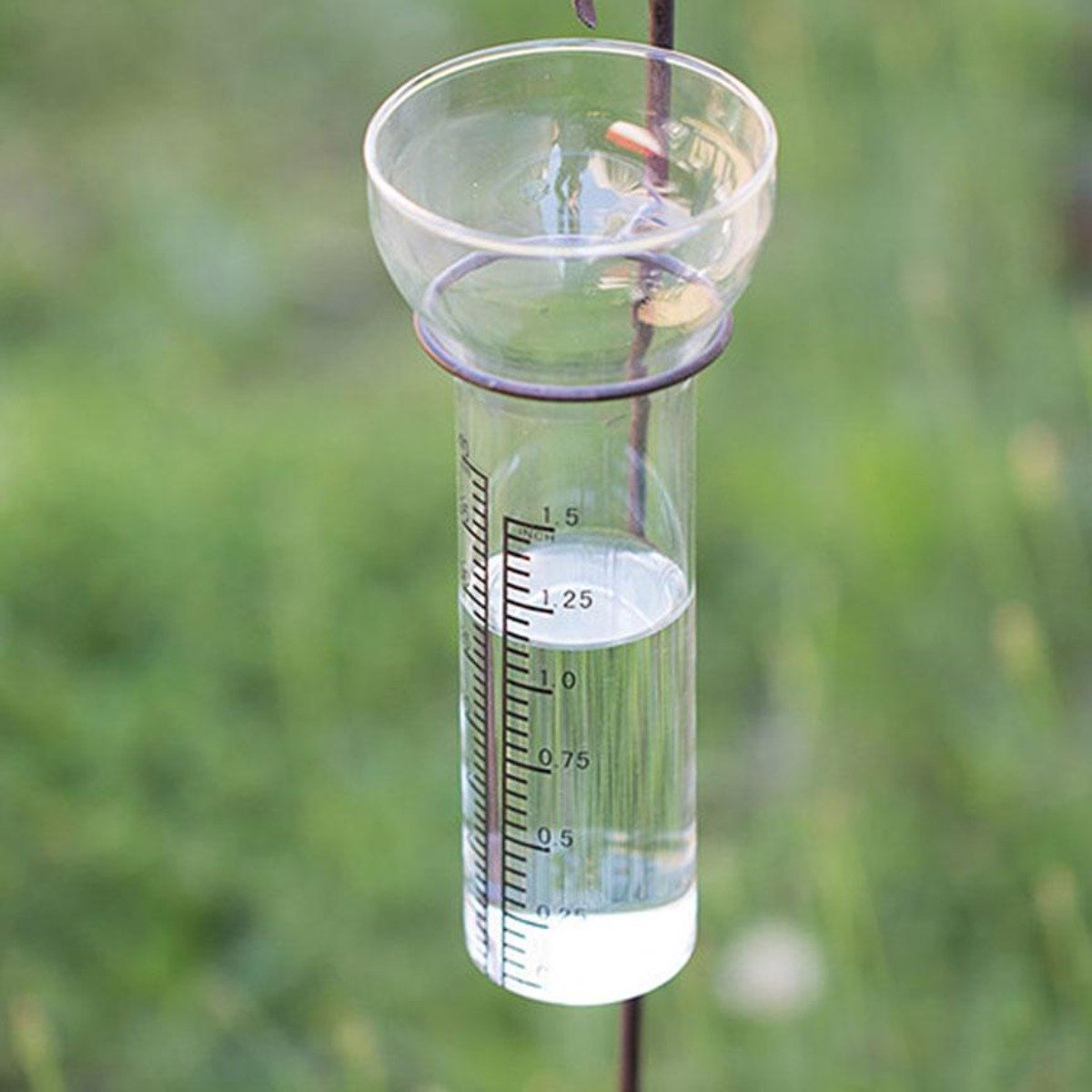 Rain Gauge Replacement Glass-Garden | Iron Accents