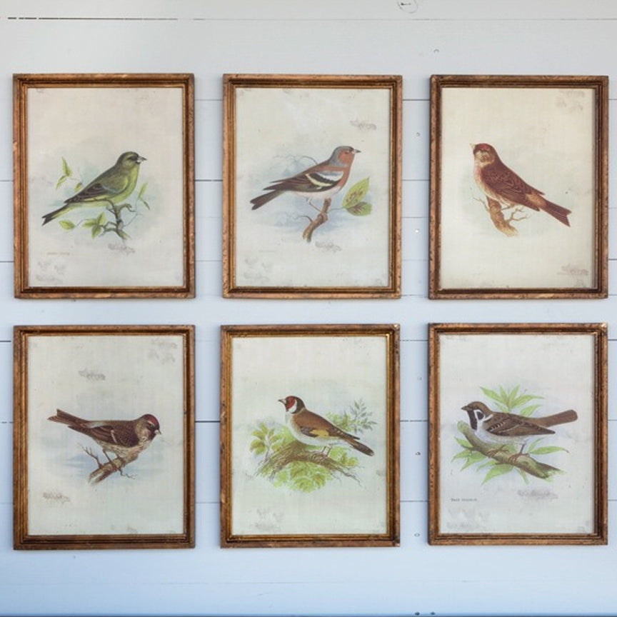Vintage Bird Prints (Set-6)-Iron Accents